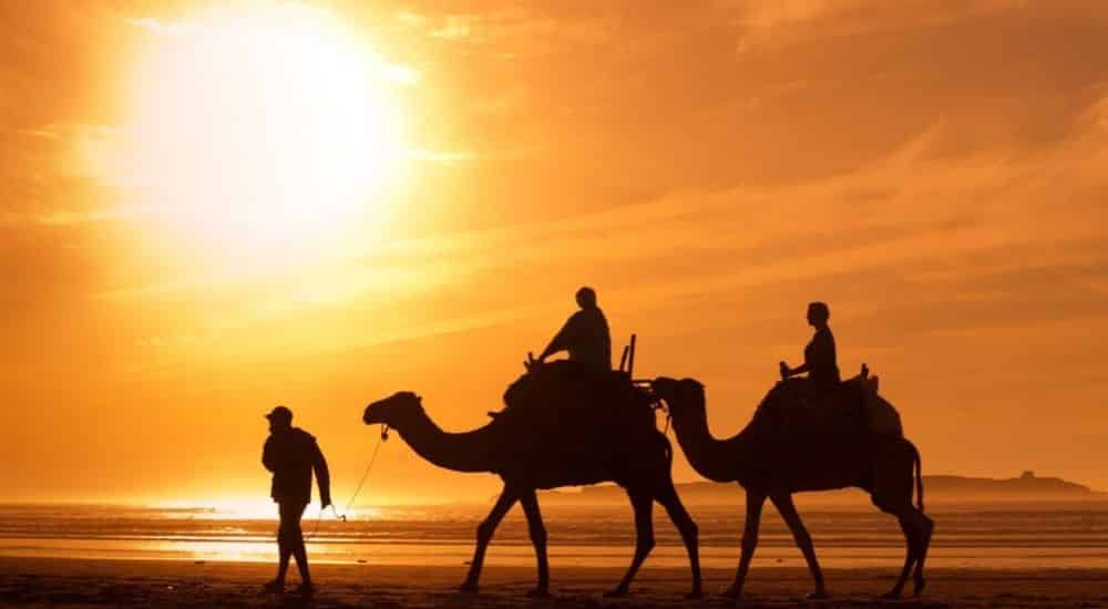 best desert travel destinations for adventure