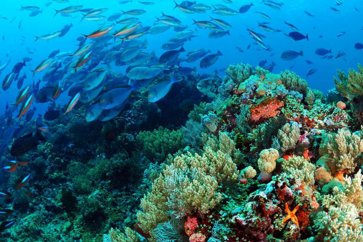 Top scuba diving destinations worldwide