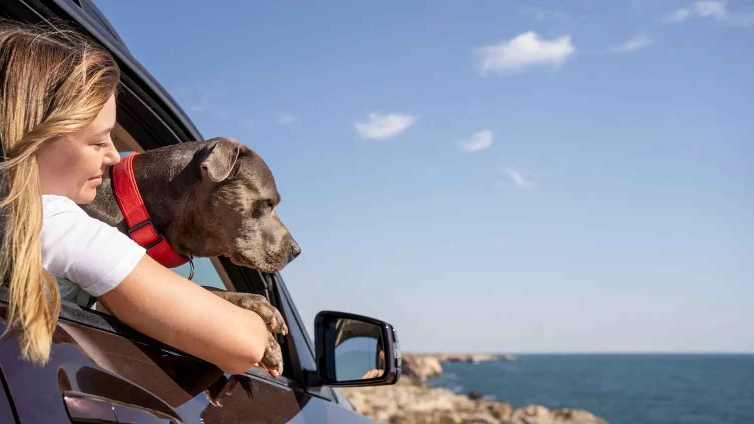 pet-friendly travel destinations in the USA