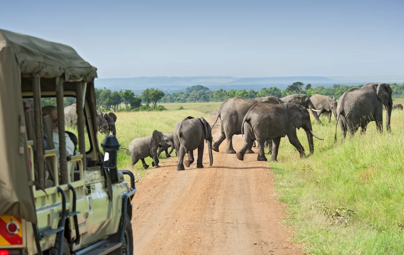 best places for wildlife safari experiences