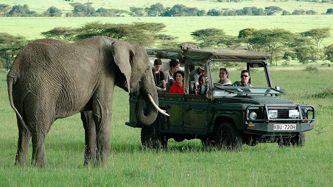 best safari tours in Kenya for first timers