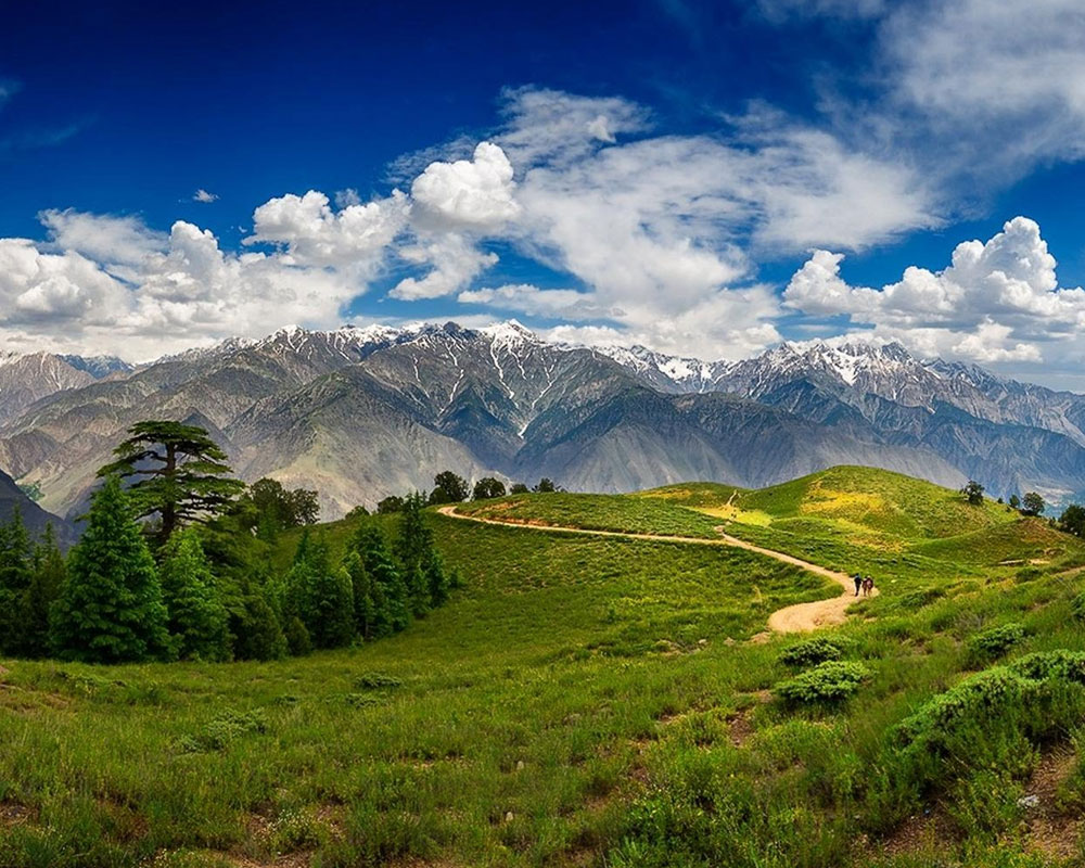 best national parks to visit for wildlife lovers