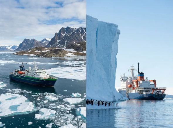 Comparing an Arctic Expedition vs. Antarctica: Why Choose an Arctic Cruise?