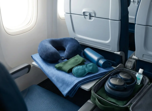 Airplane Travel Essentials: Pre-Flight Preparation and Essential Travel Documentation
