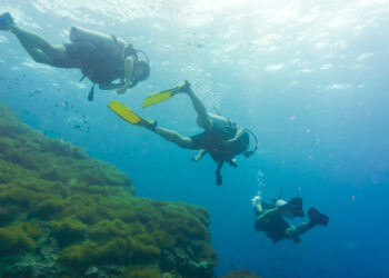 The Thinking Diver’s Guide to Planning a Scuba Holiday Worth the Journey