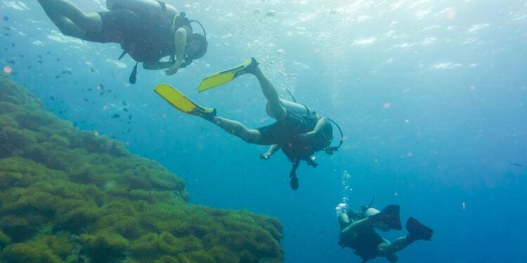 The Thinking Diver’s Guide to Planning a Scuba Holiday Worth the Journey