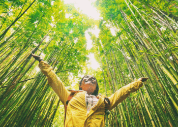 eco friendly travel tips for sustainable tourism