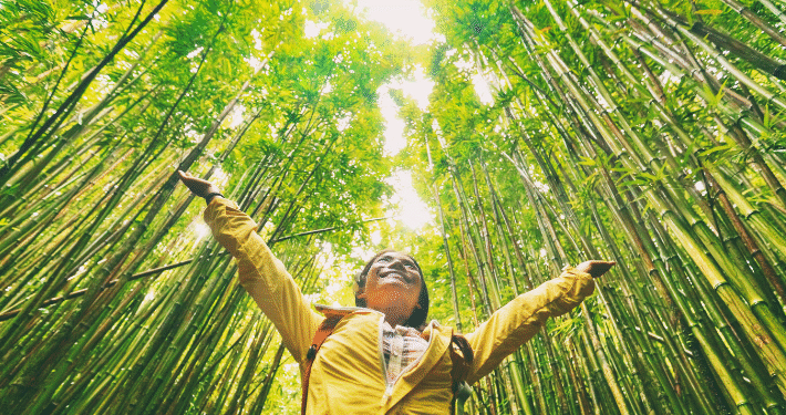 eco friendly travel tips for sustainable tourism
