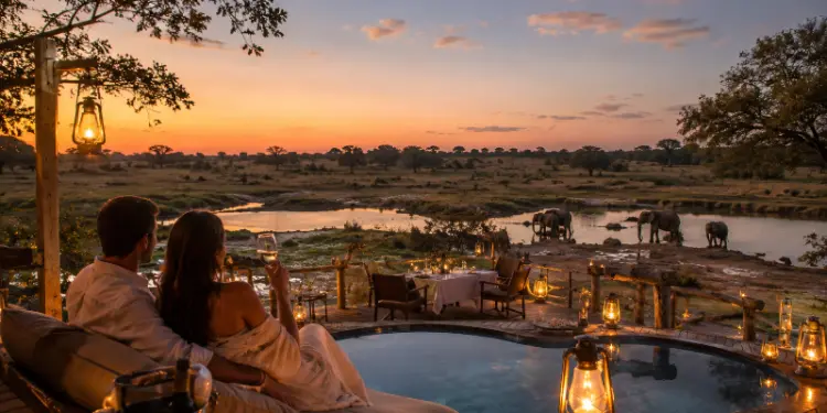 Best Luxury Safari Honeymoon Destinations in the World