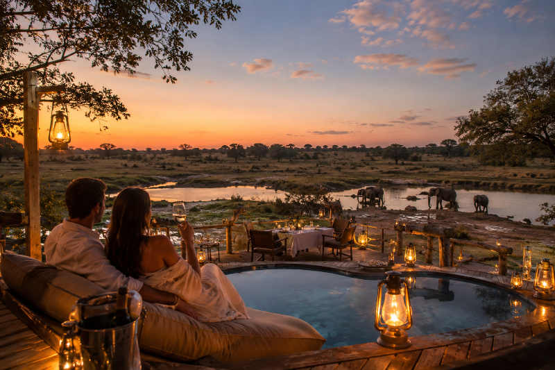 Best Luxury Safari Honeymoon Destinations in the World