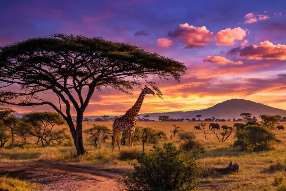 Best nature travel destinations for wildlife lovers