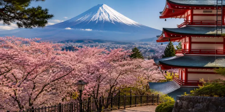 Why Everyone Is Visiting Japan Right Now