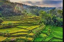 Things to do in Bali for first-time visitors