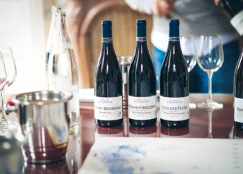 Wine Tourism: The Complete Guide to Traveling Through the World’s Greatest Wine Regions